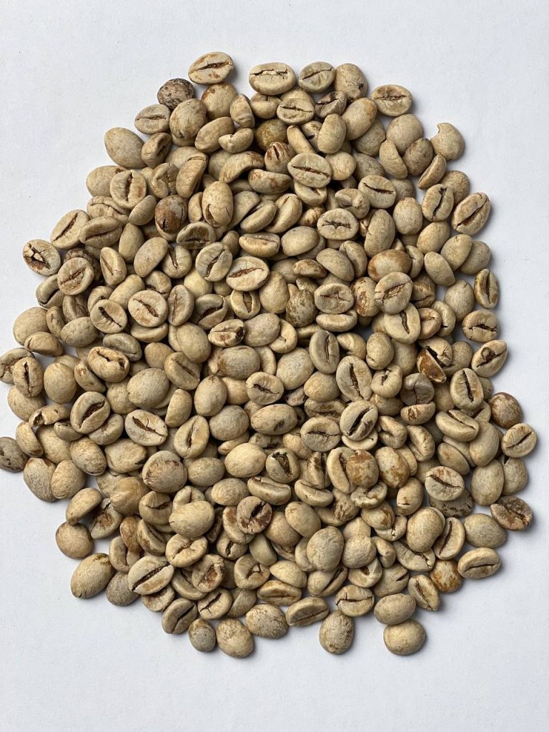 ربوستا اندونزی جاوا