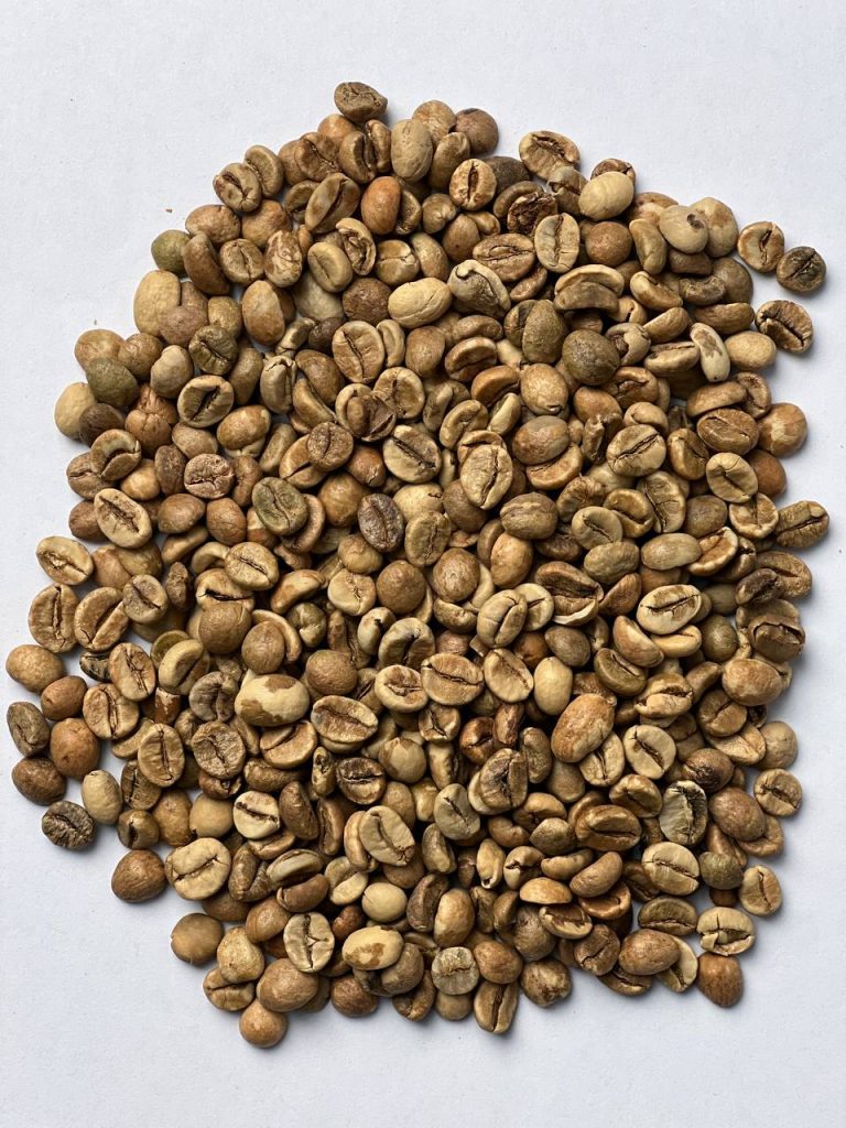 دانه سبز ربوستا اوئگاندا