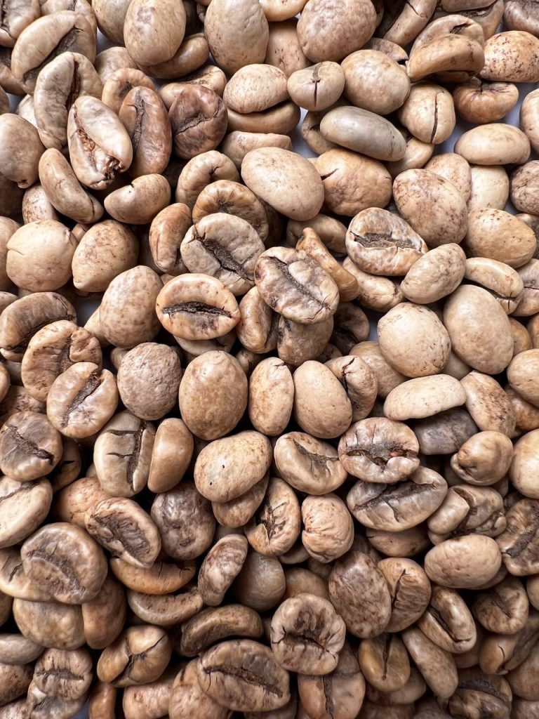 ربوستا ویتنام