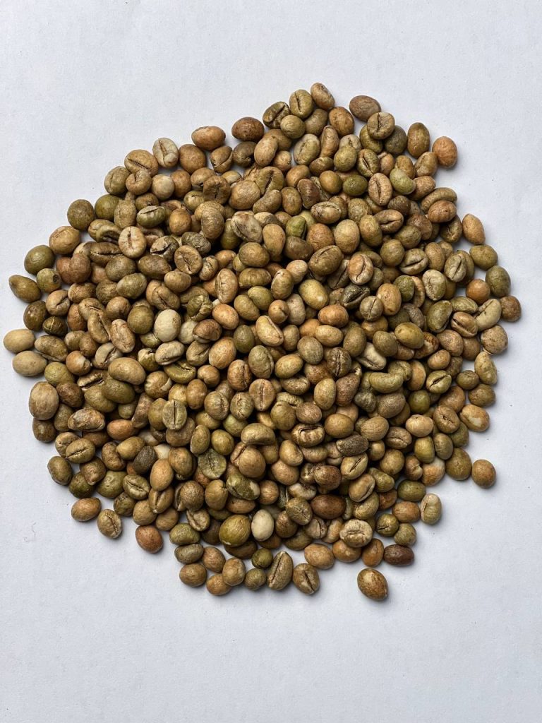 دانه سبز ربوستا هند پی بی