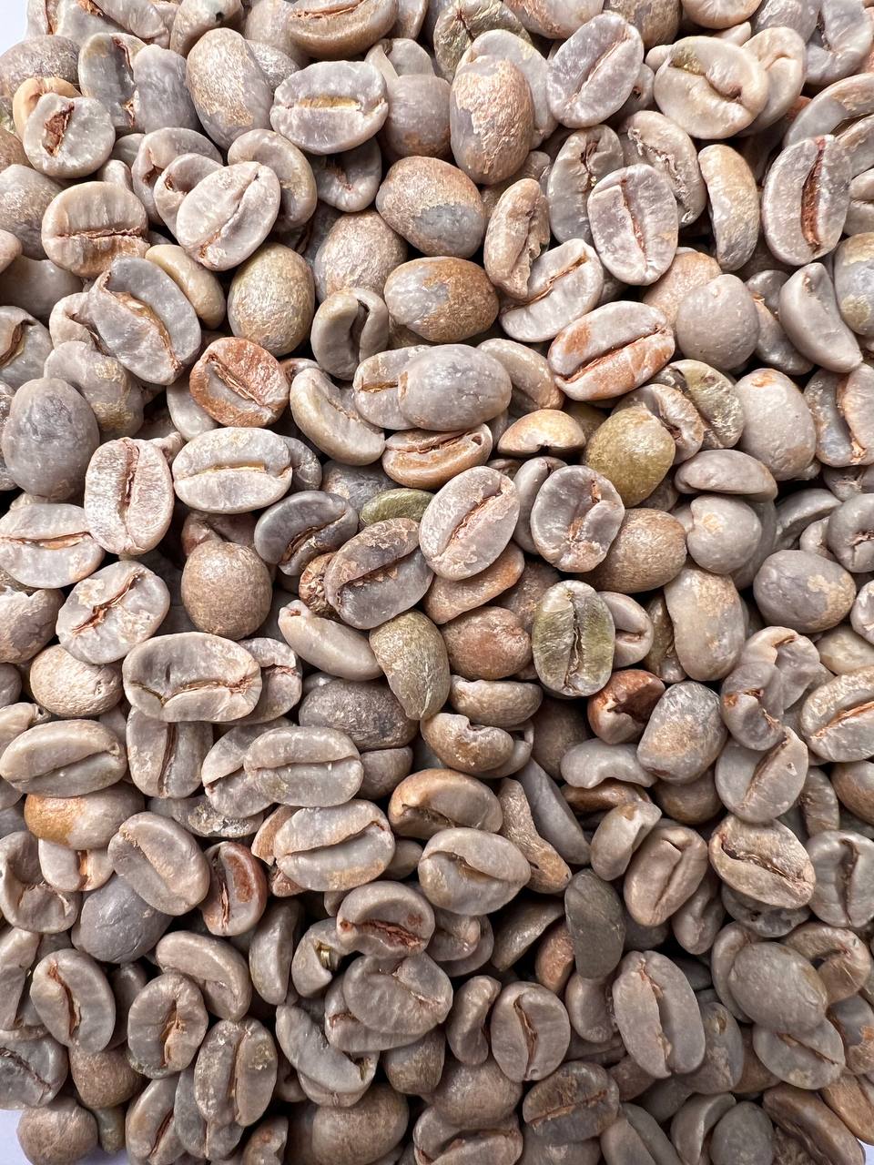 دانه سبز عربیکا برزیل فاینکاپ – گرین پرو – شسته - تصویر 3