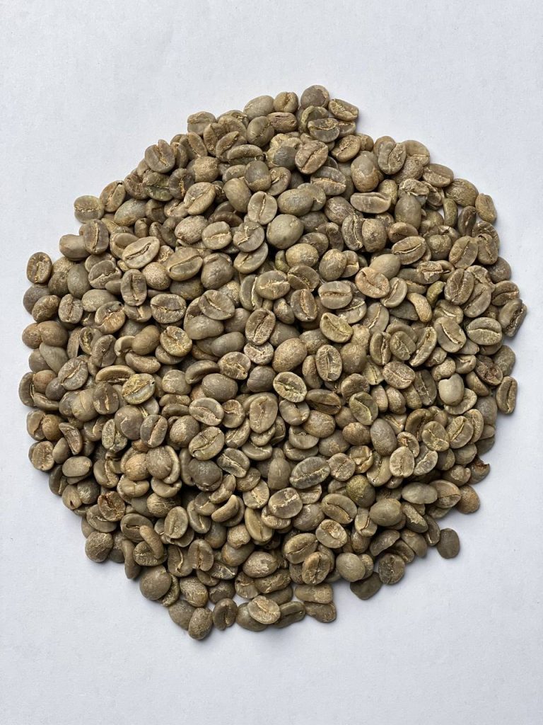 عربیکا کلمبیا اسکرین 17