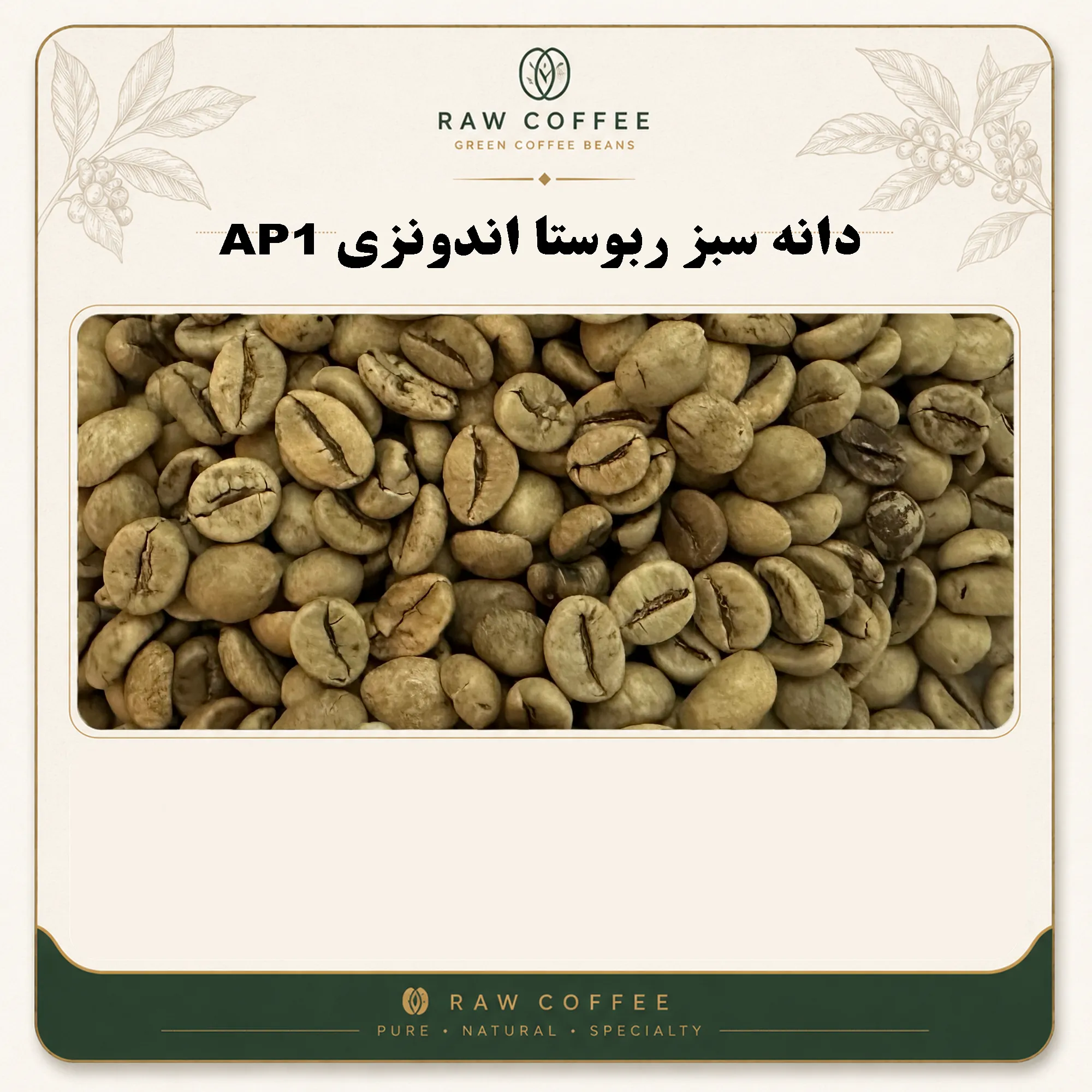 دانه سبز ربوستا اندونزی AP1 گرین پرو اسکیرین 19 شسته شده