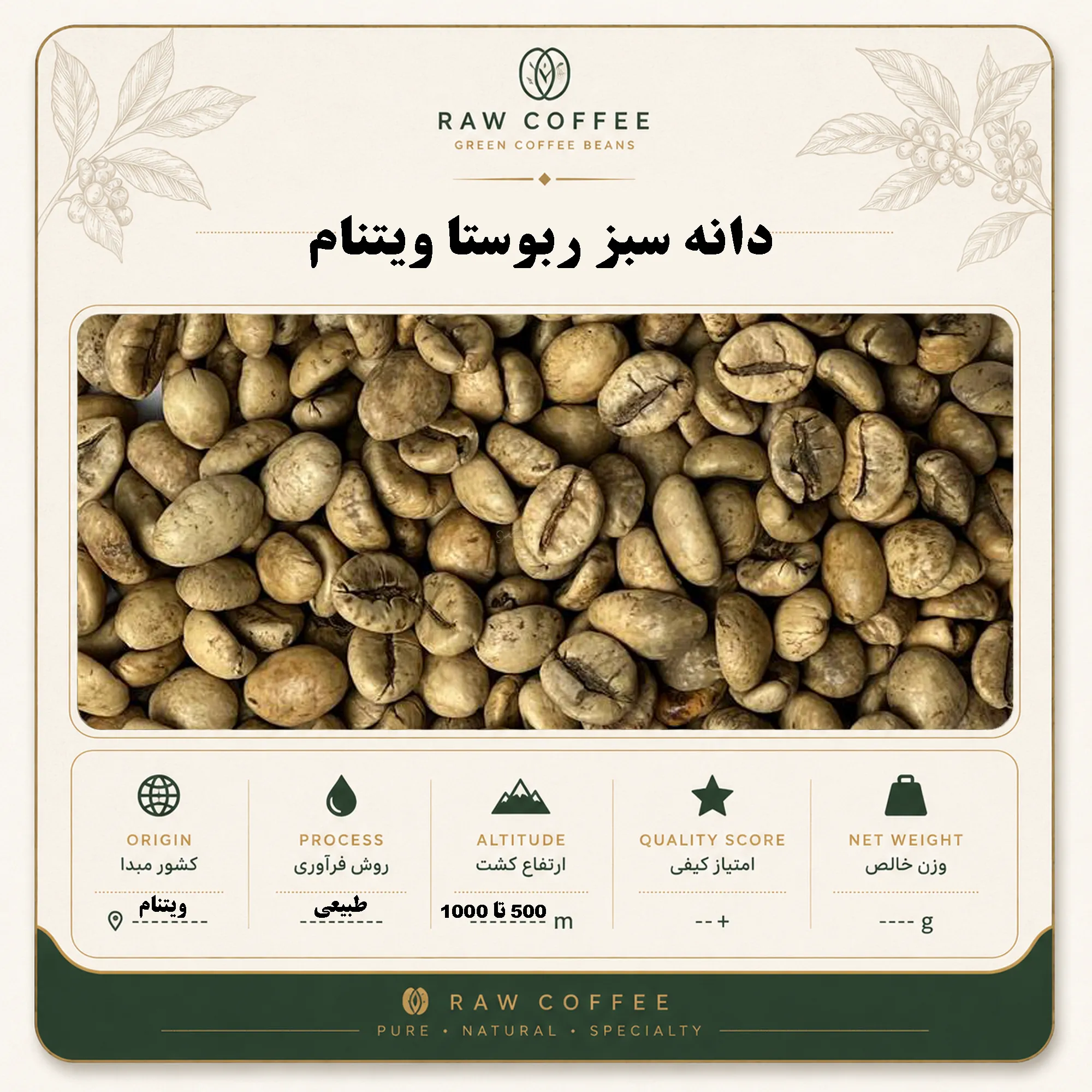 دانه سبز ربوستا ویتنام