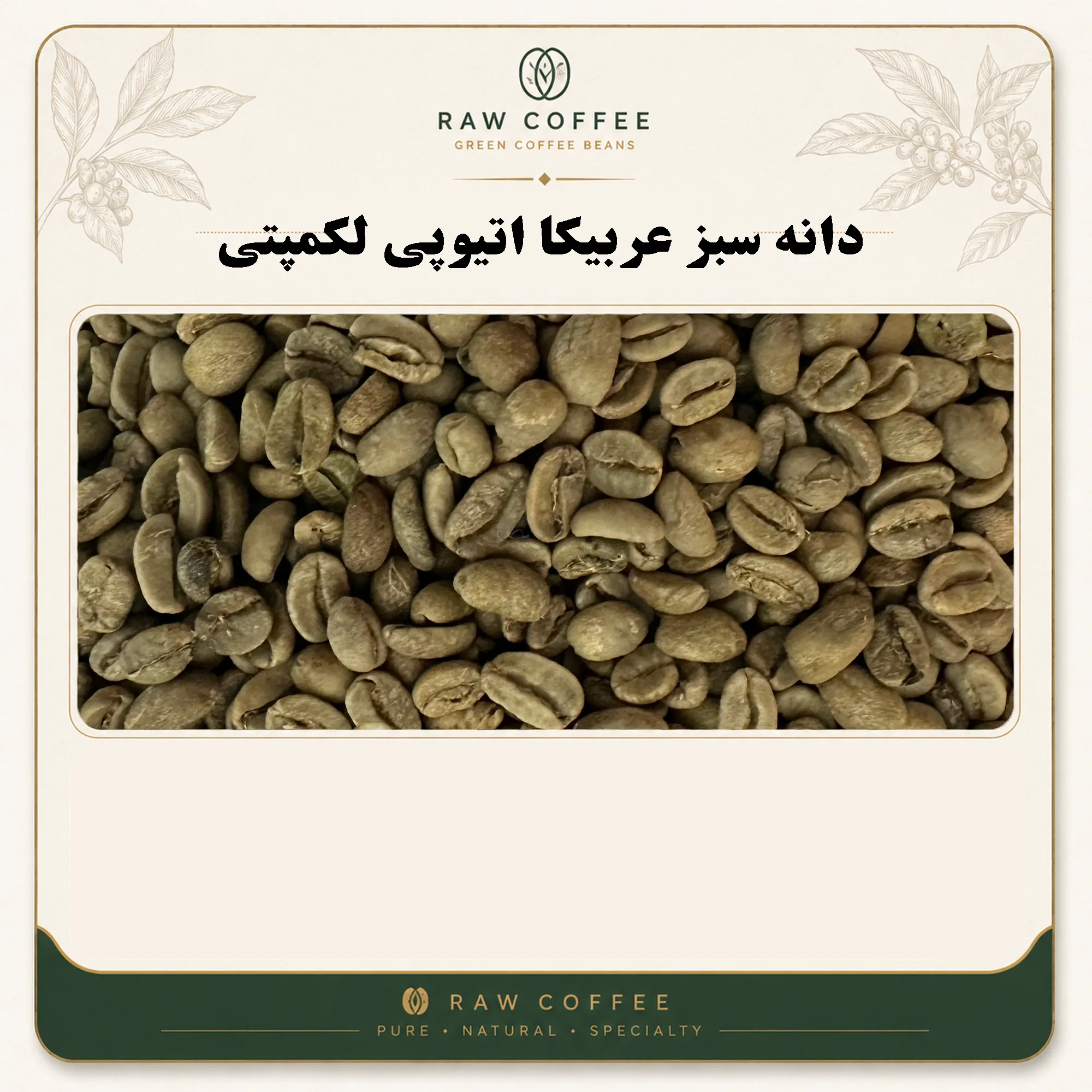 دانه سبز عربیکا اتیوپی لکمپتی نچرال اسکیرین 16 | Ethiopia Lekempti Natural