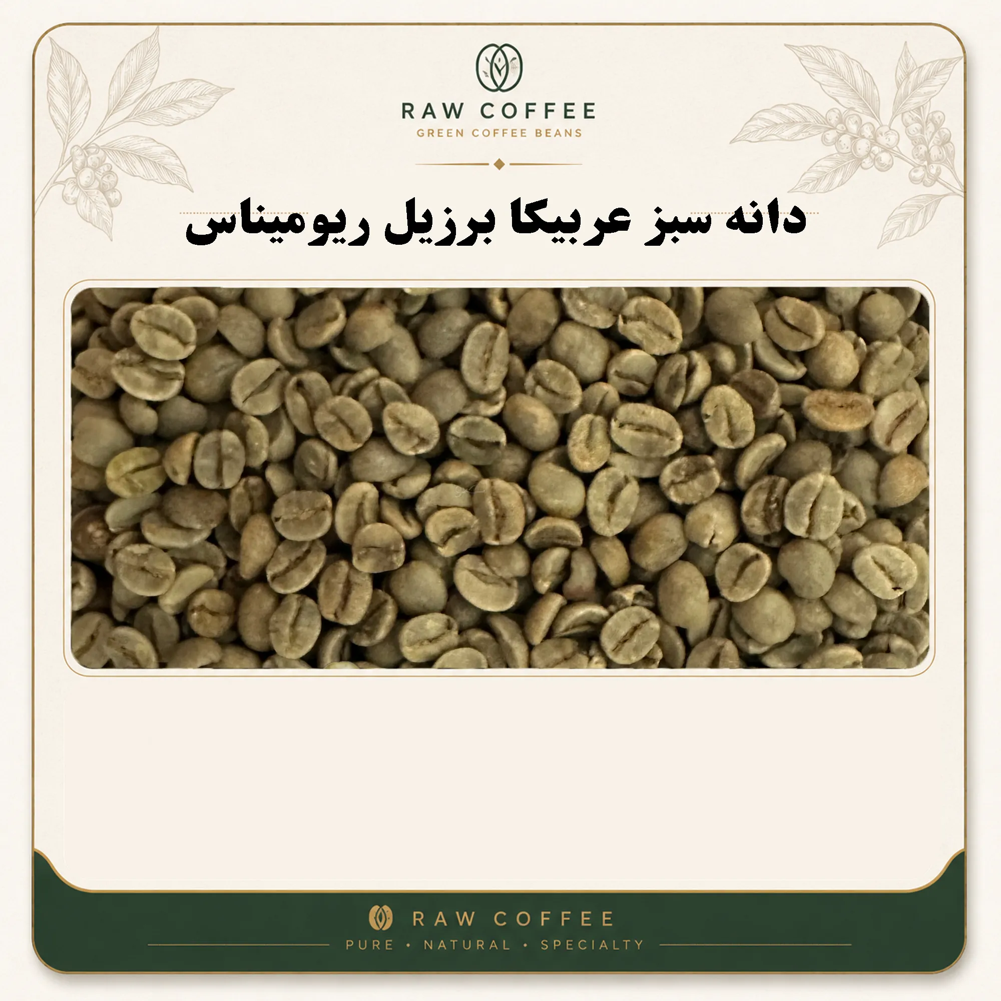دانه سبز عربیکا برزیل ریومیناس اسکیرین 18-17 نچرال